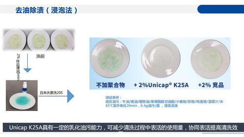 万华化学 多功能新型高效聚合物 unicap k25a